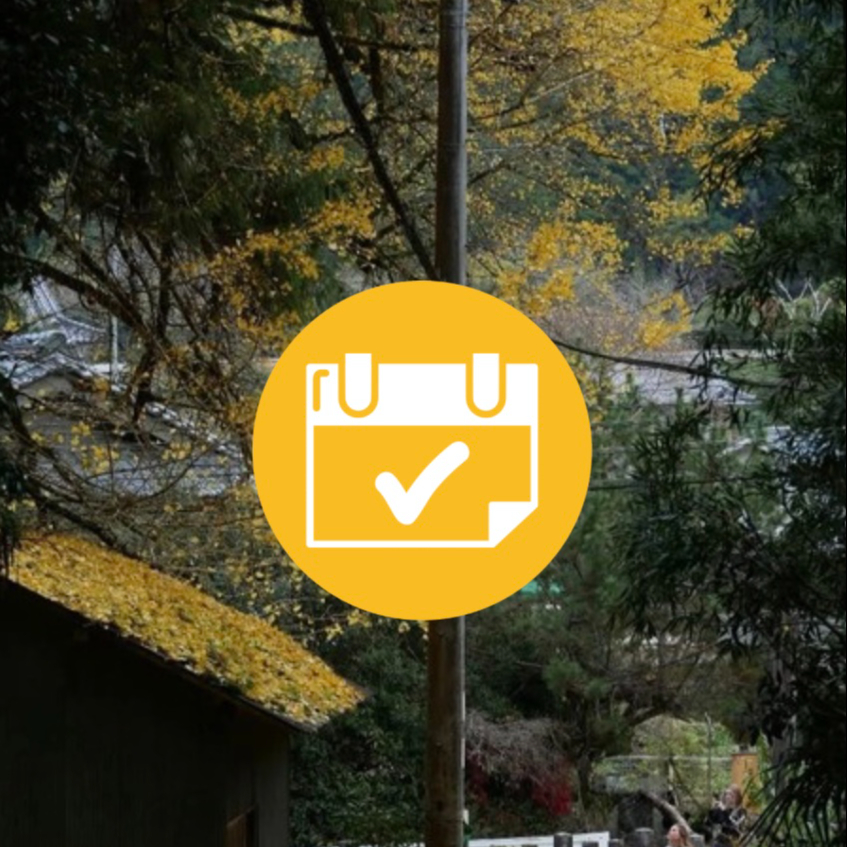 SÉANCE "L'éveil du Séquoia" (accompagnement parcours 3 mois)