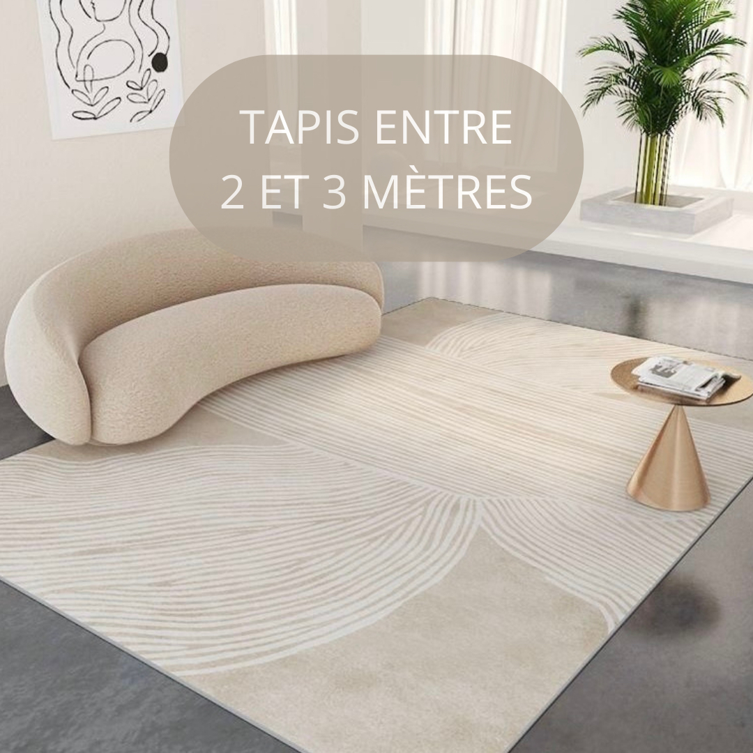 TAPIS ENTRE 2 ET 3MÈTRES(INJECTION/EXTRACTION+VAPEUR ANTI BACT)