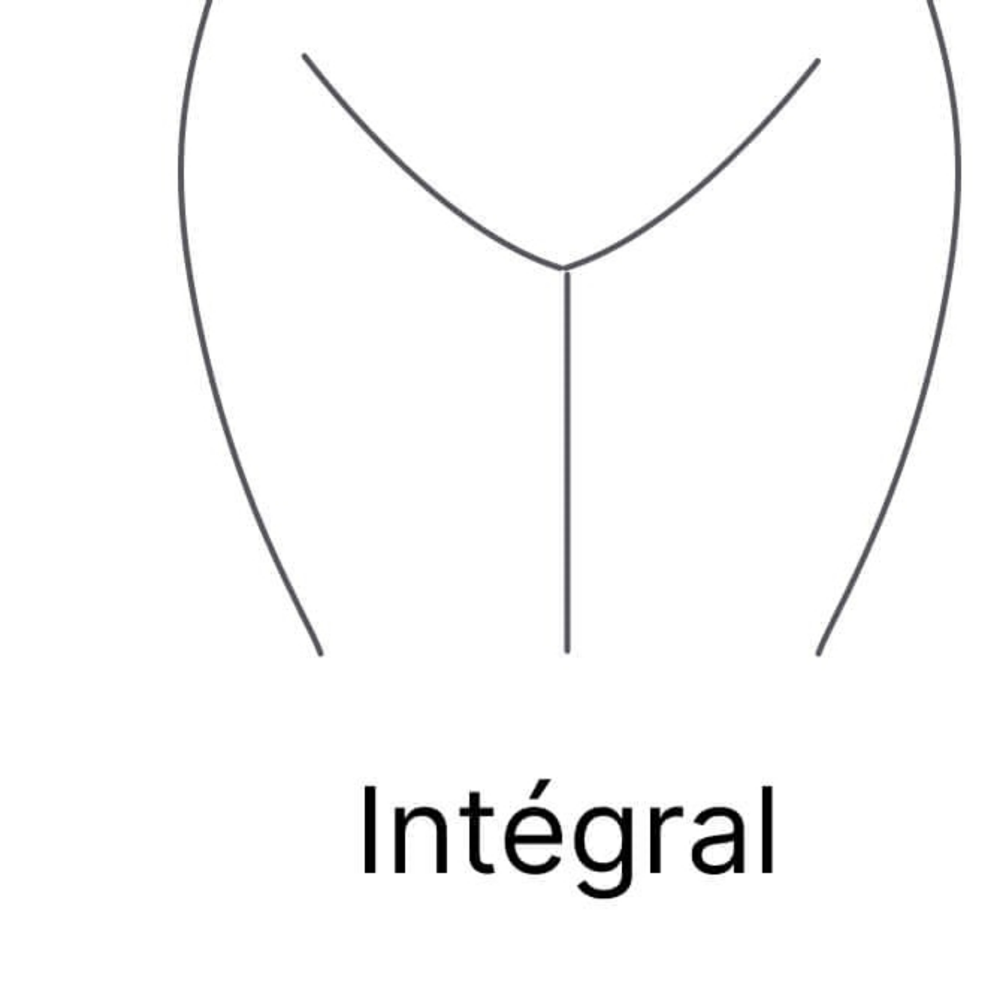 Bikini intégral