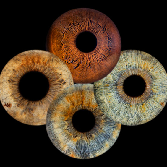 Séance IRIS en Quatuor (4 pers.)