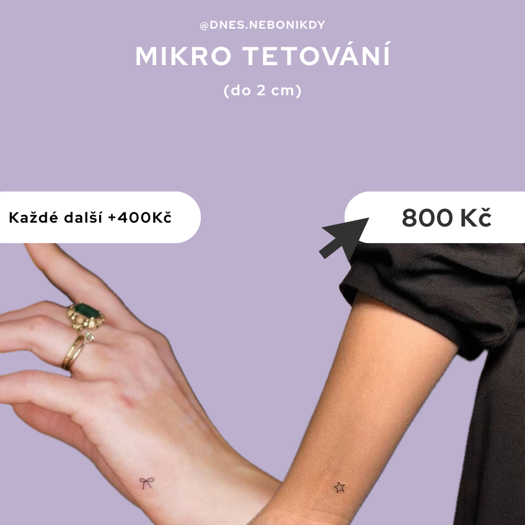 MIKRO TETOVÁNÍ (do 1 cm) = 30 min
