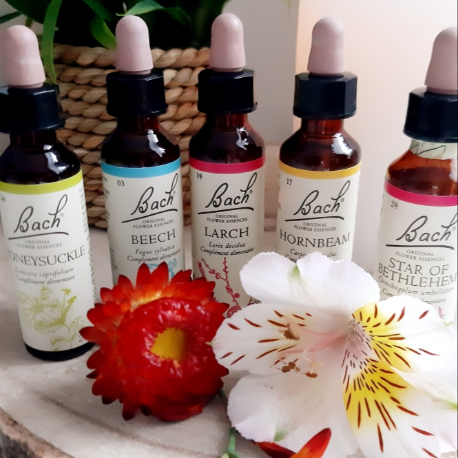 Réflexologie Personnalisée aux Fleurs de Bach + Conseils