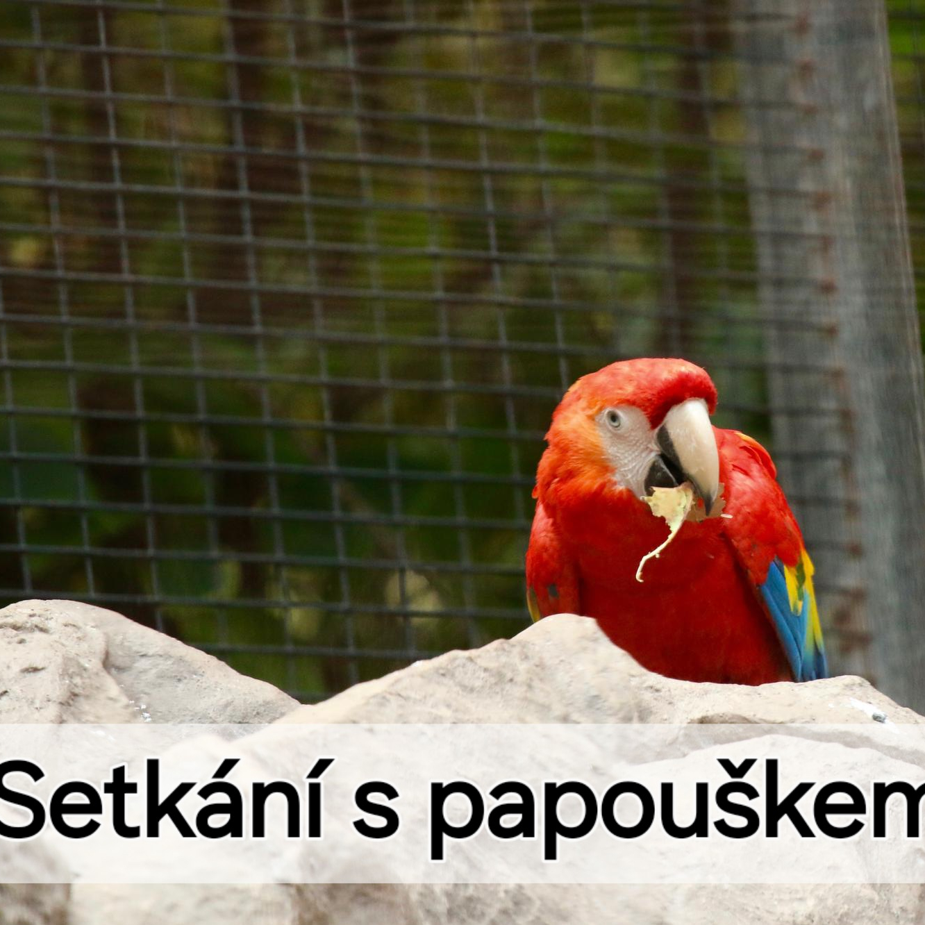 Setkání s PAPOUŠKEM