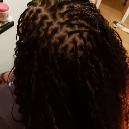 Open rasta Kč 4100