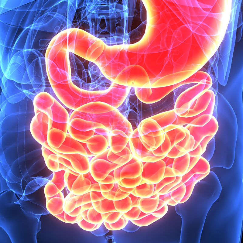 1° Visita Gastroenterologica