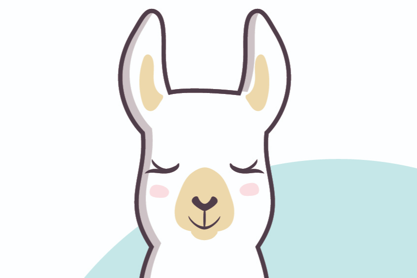 ALPACA TOUR