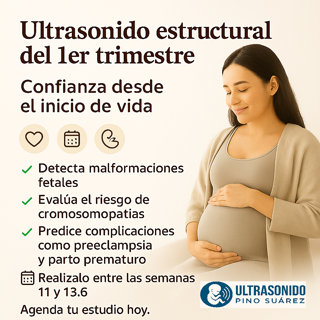 Ultrasonido Estructural Primer Trimestre (Scan 11-13.6)
