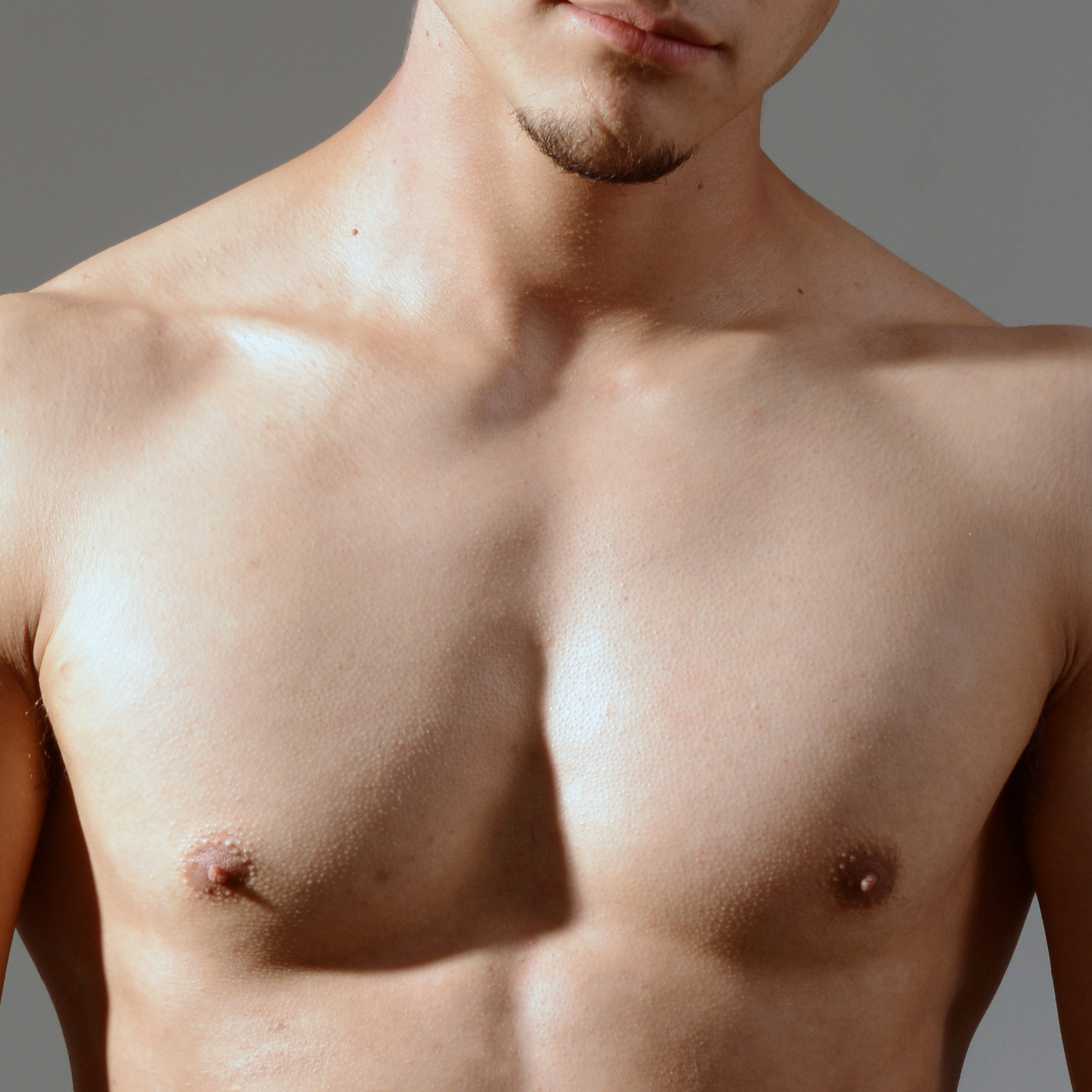 Brust ♂