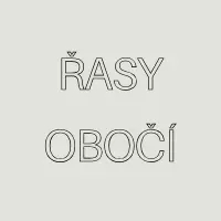 Ke kosmetice: Balíček řasy + obočí // Brows and lashes 30 min