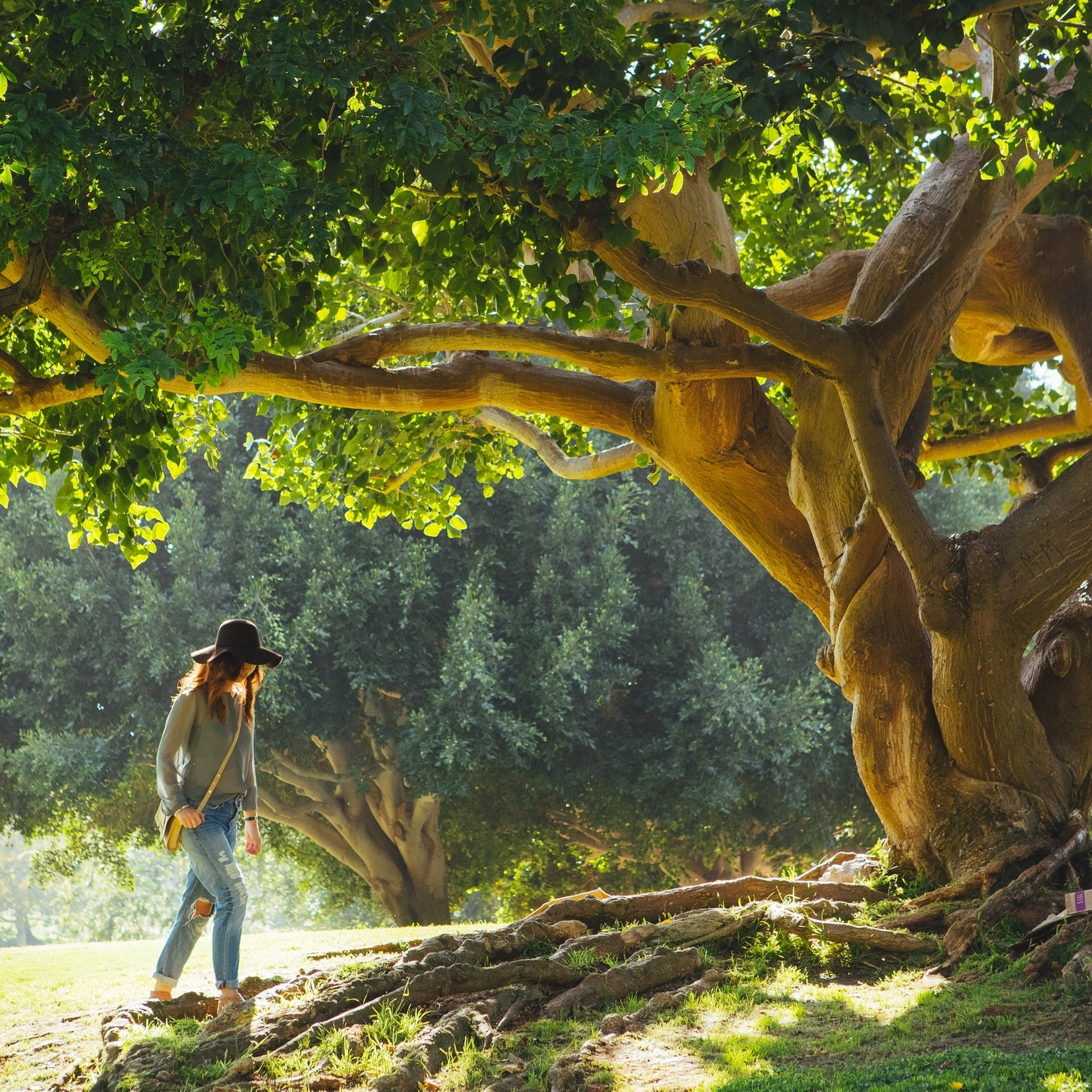 Accompagnement en séjour individuel (à partir de 6h et 3J/2N)