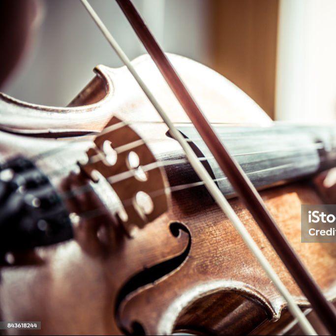Violon