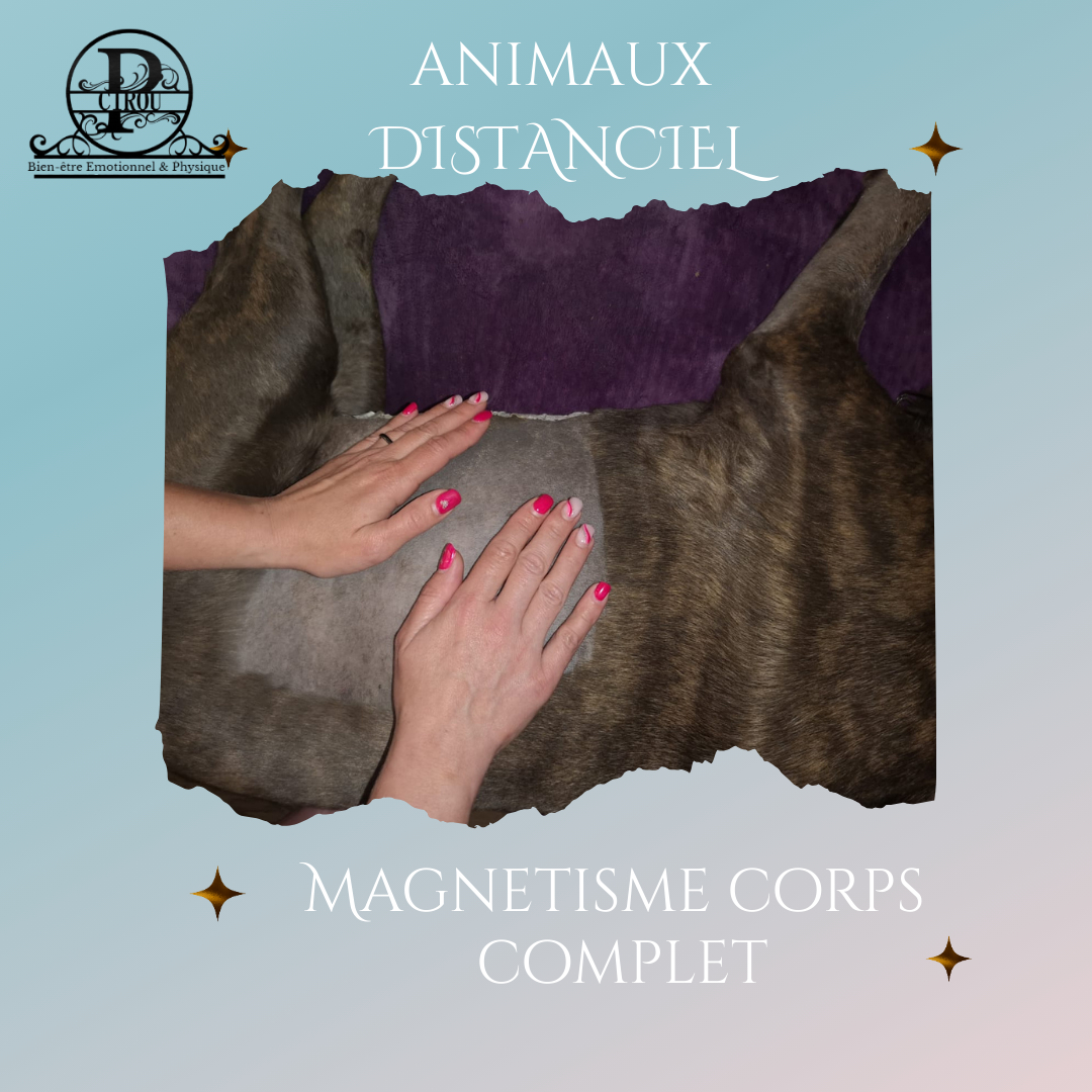 Magnétisme Corps Animaux DISTANCIEL