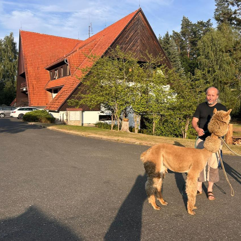 Procházka s alpakou 1,5 hodiny Trnávka