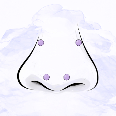 High nostril, mantis piercing (pouze od 18 let)