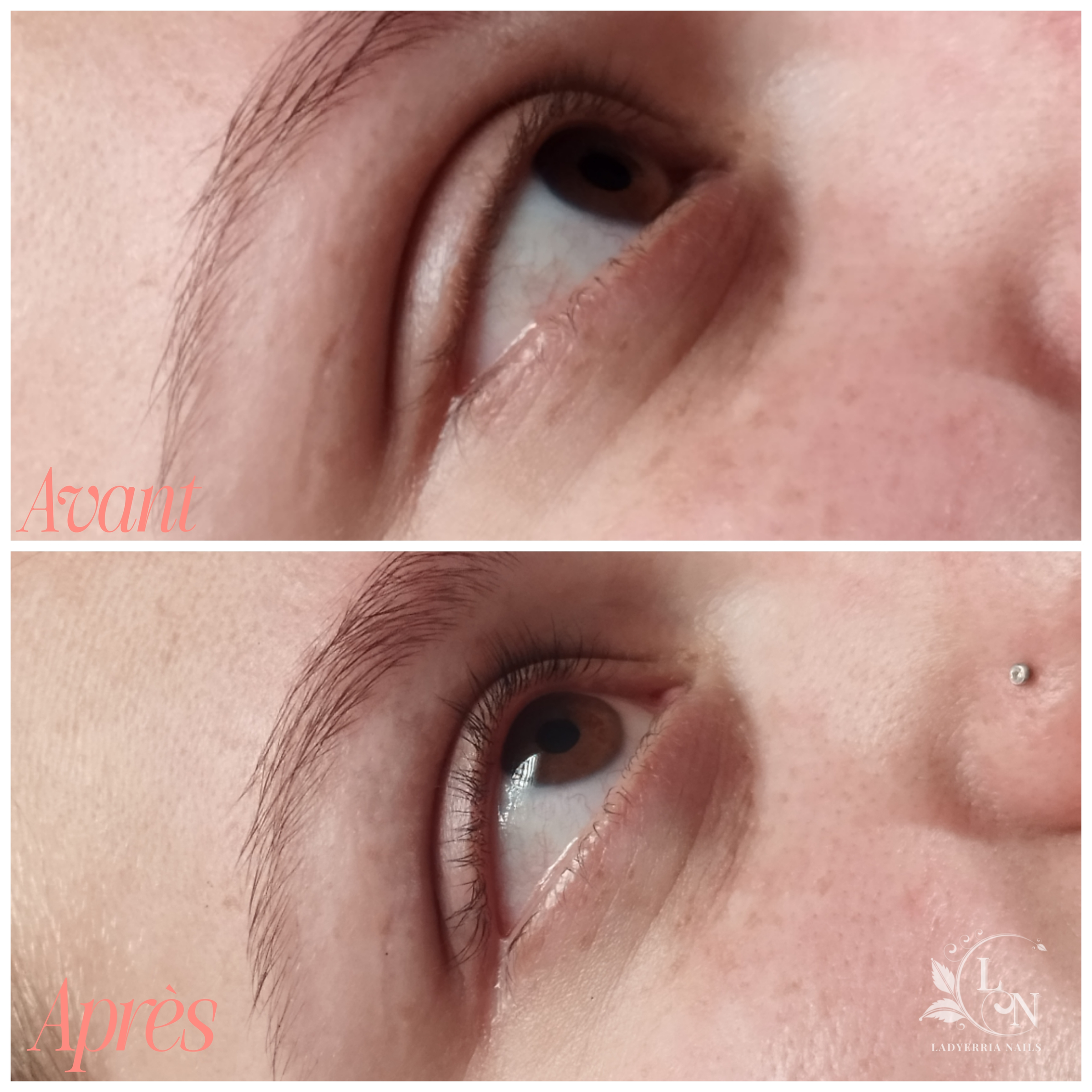 Teinture de cils