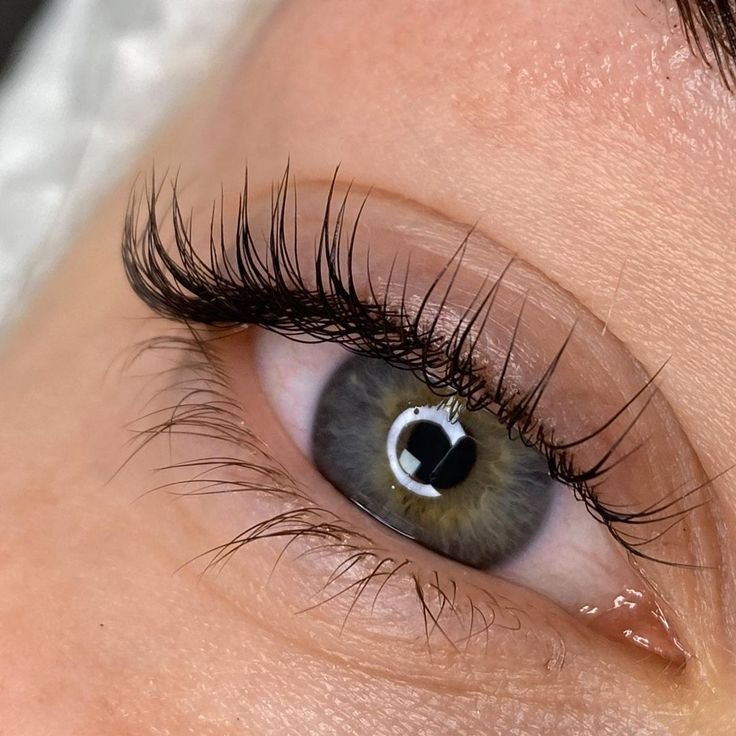 Barvení řas - pouze v rámci ošetření