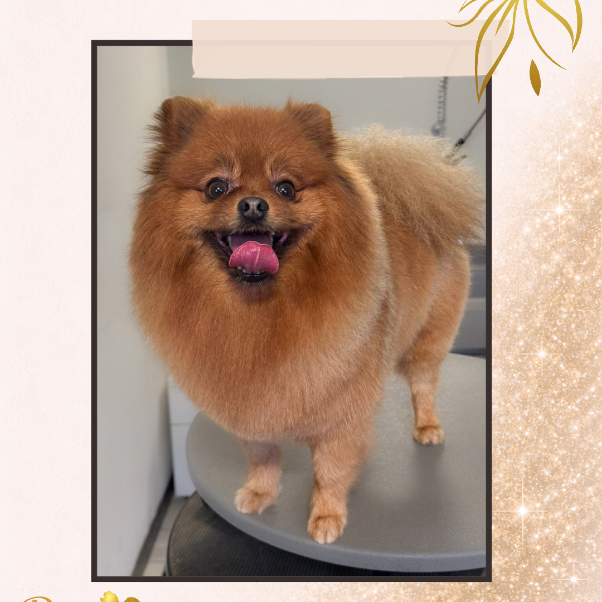 Complete Trim - juli & augustus