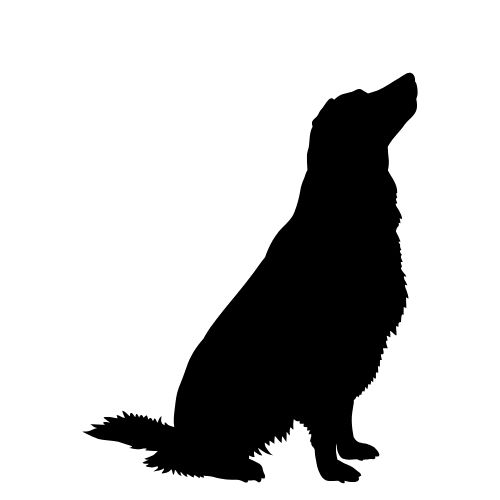 Nagytestű, hosszúszőrű (kifésülve)