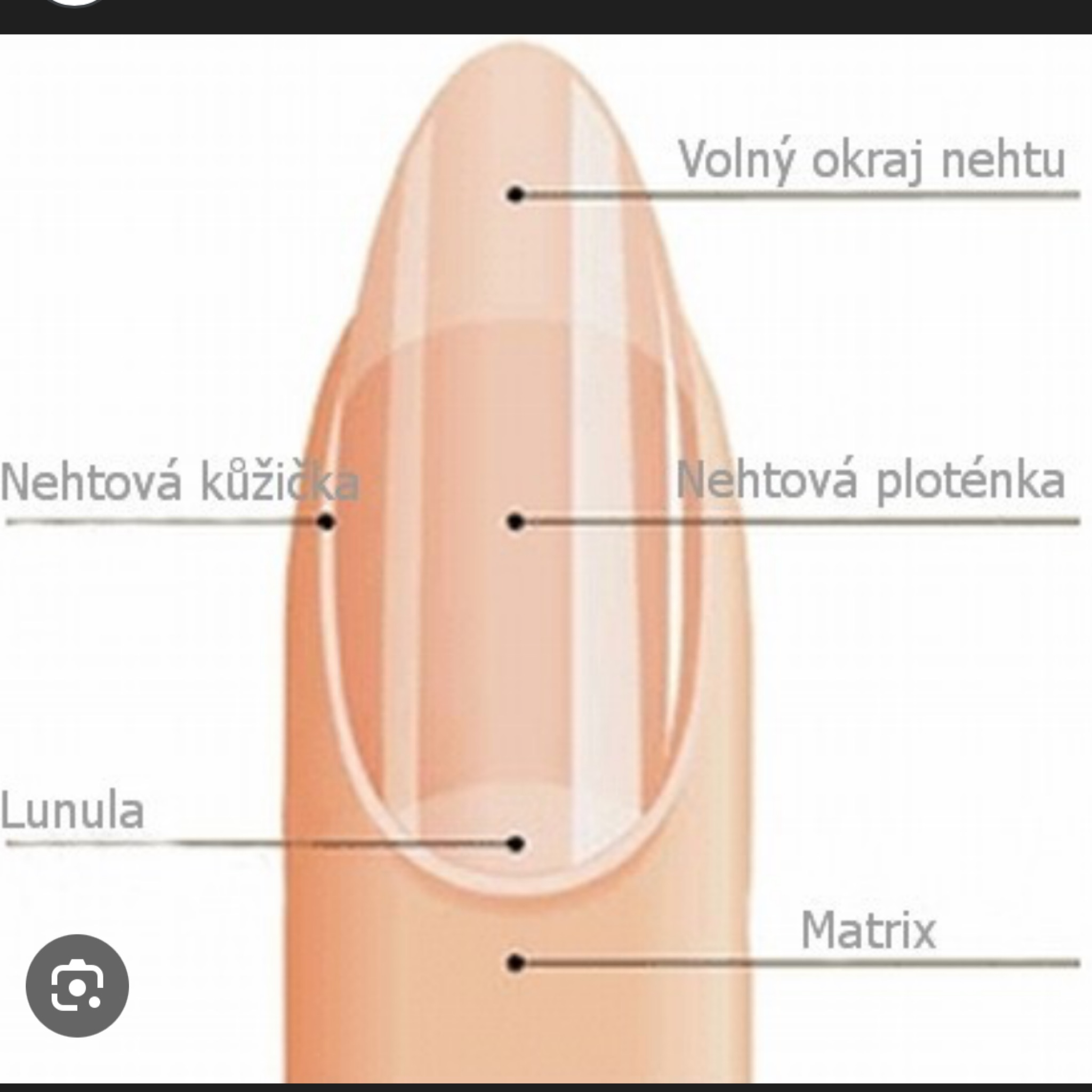 Odstranění modeláže z vietnamského studia
