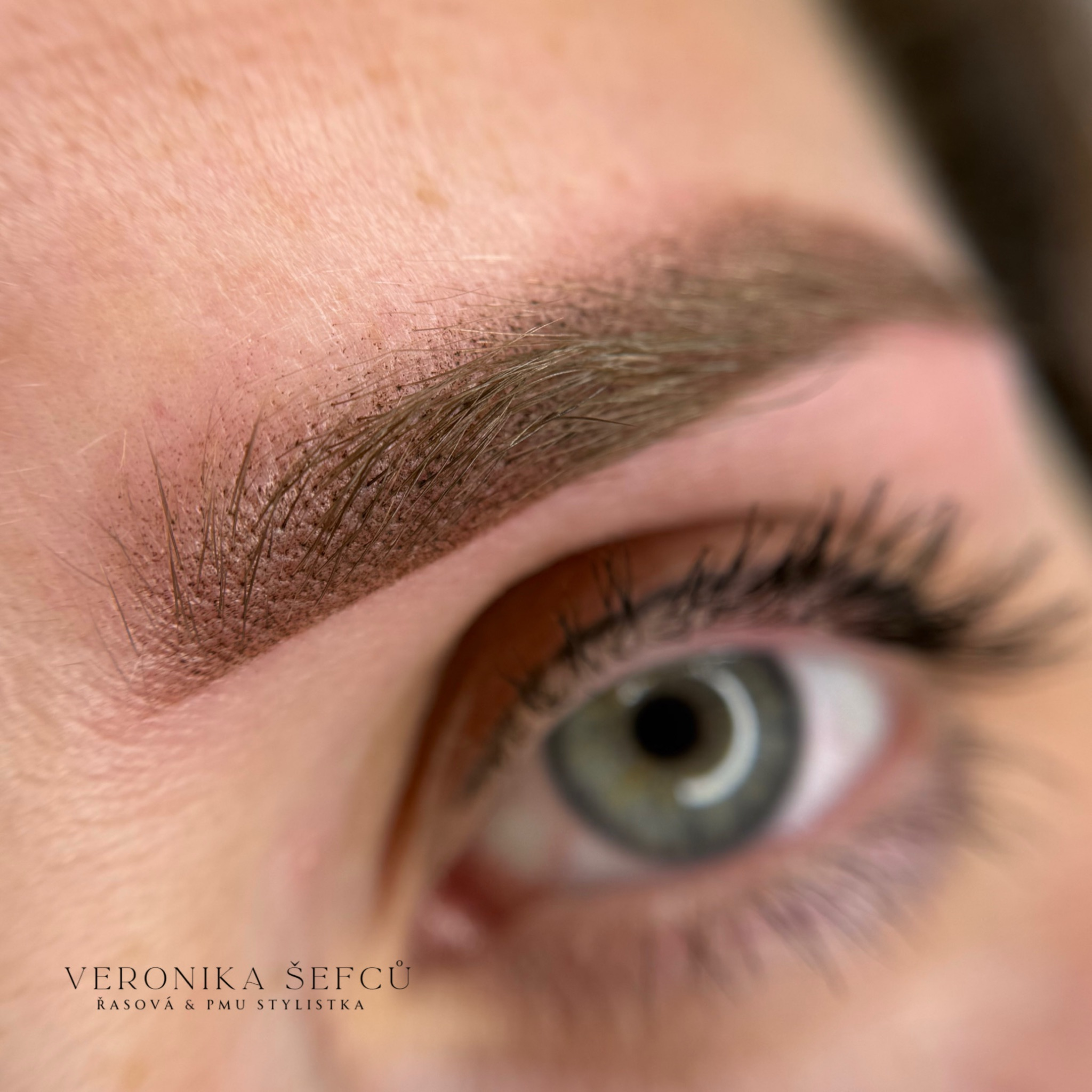 Permanentní make-up obočí - pudrová technika