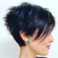 Shp + coupe + brushing cheveux court