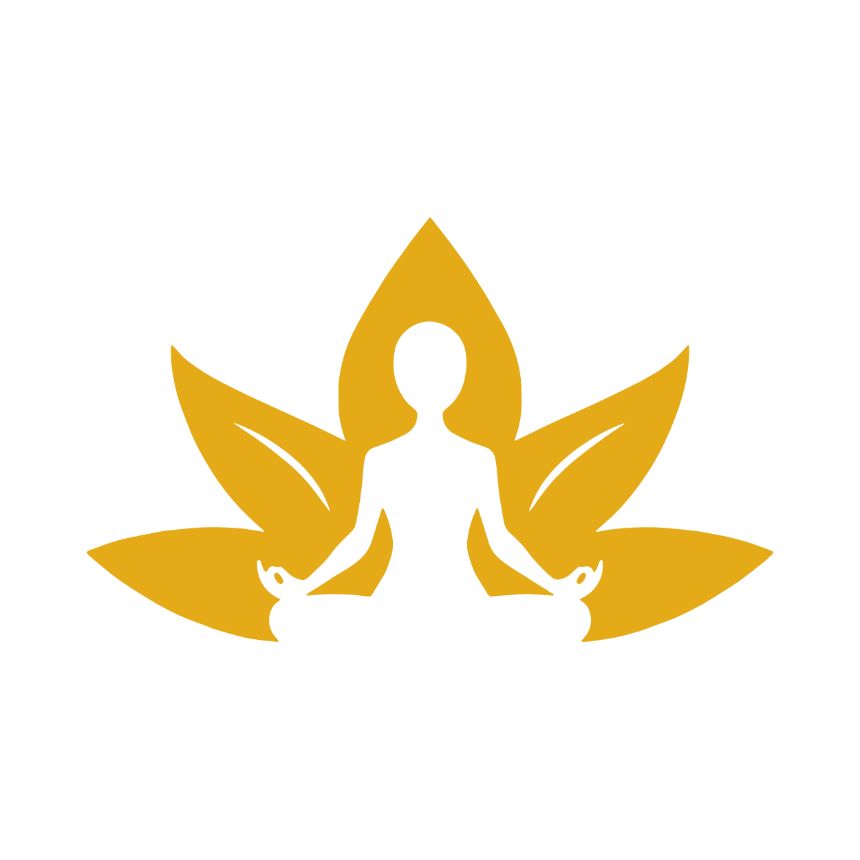 Soin vibratoire KLAI à distance (visio Teams 1h)