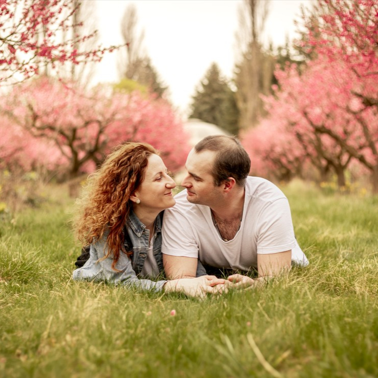 Rozkvetlé broskvové sady - 10ks/60 minut