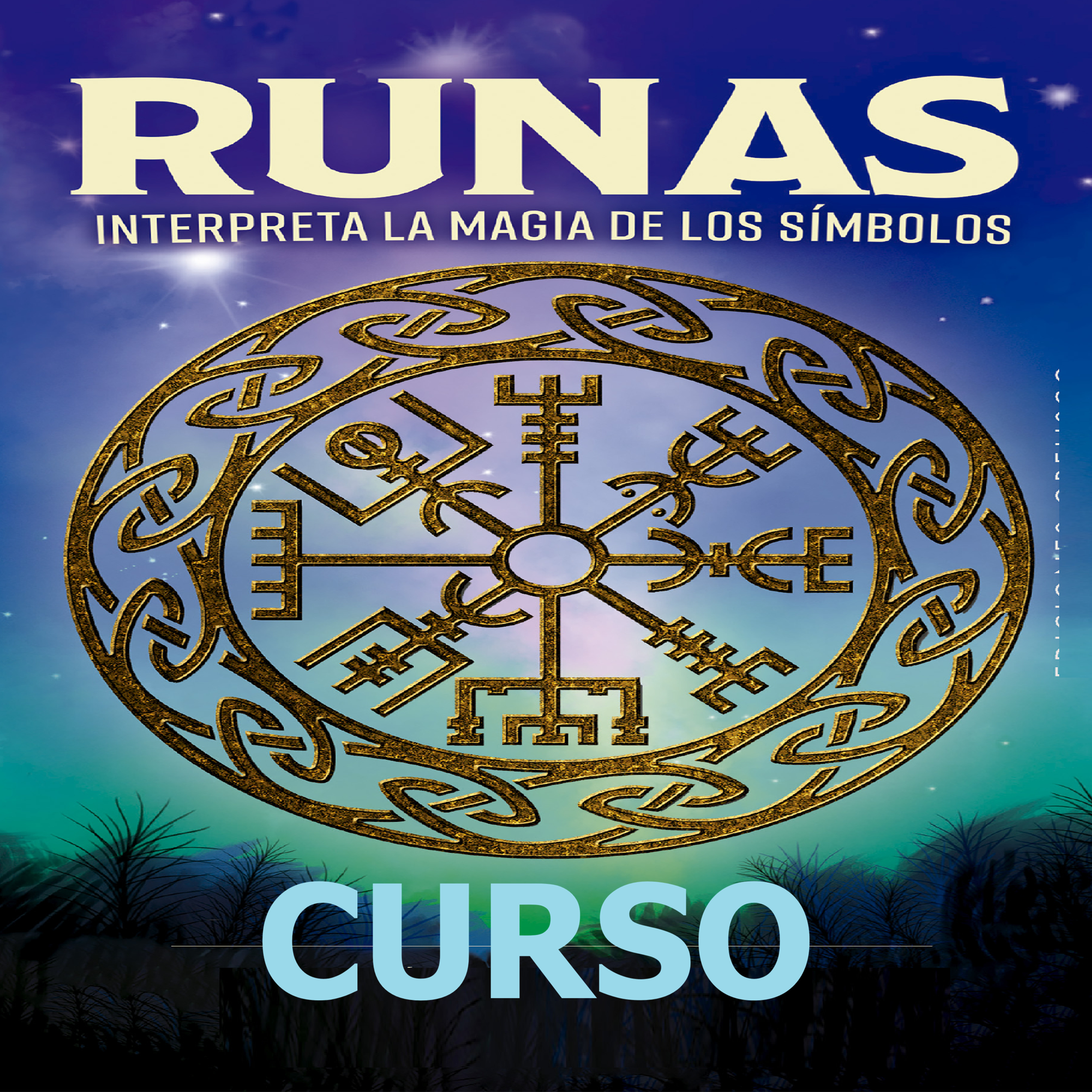 CURSO PROFESIONAL RUNAS