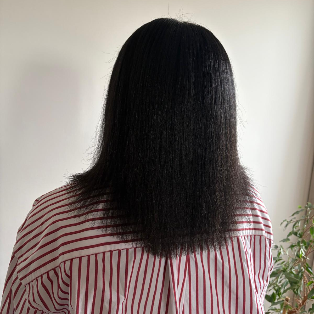 SILKPRESS - cheveux long