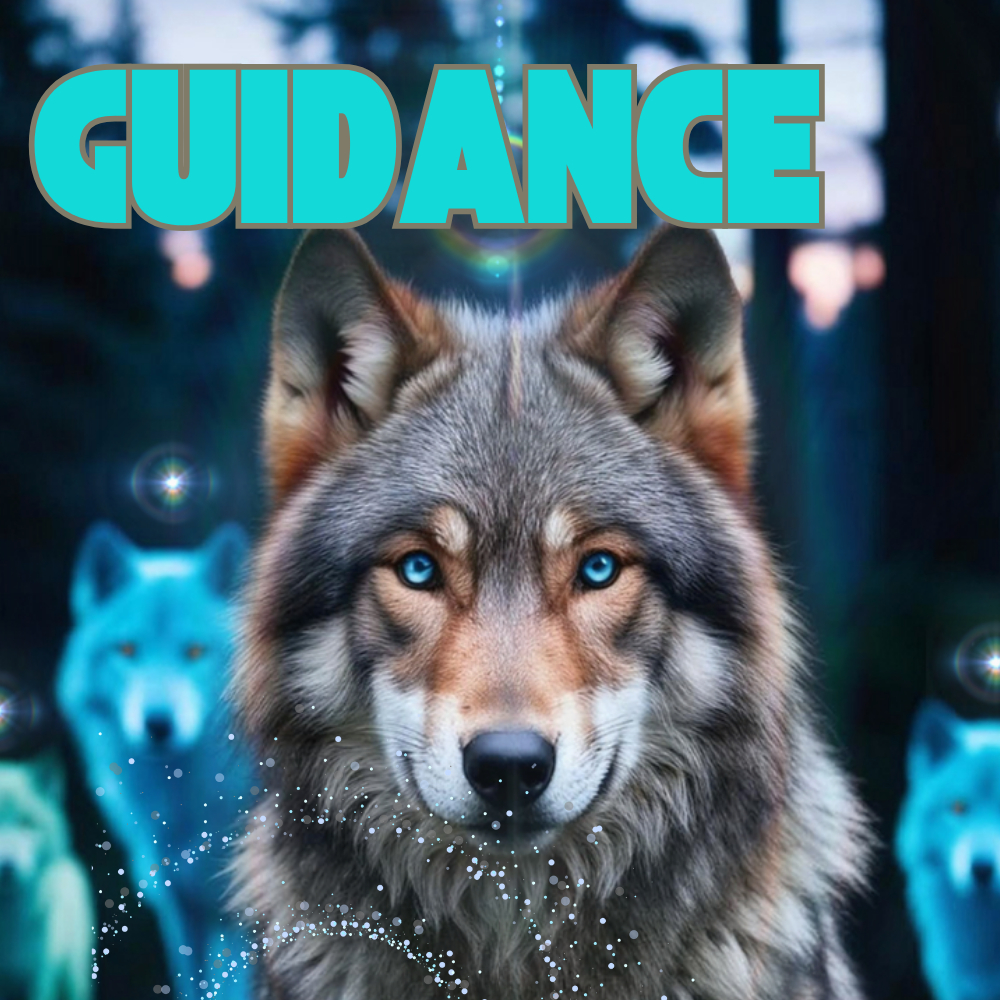 Guidance 1 heure en présentiel