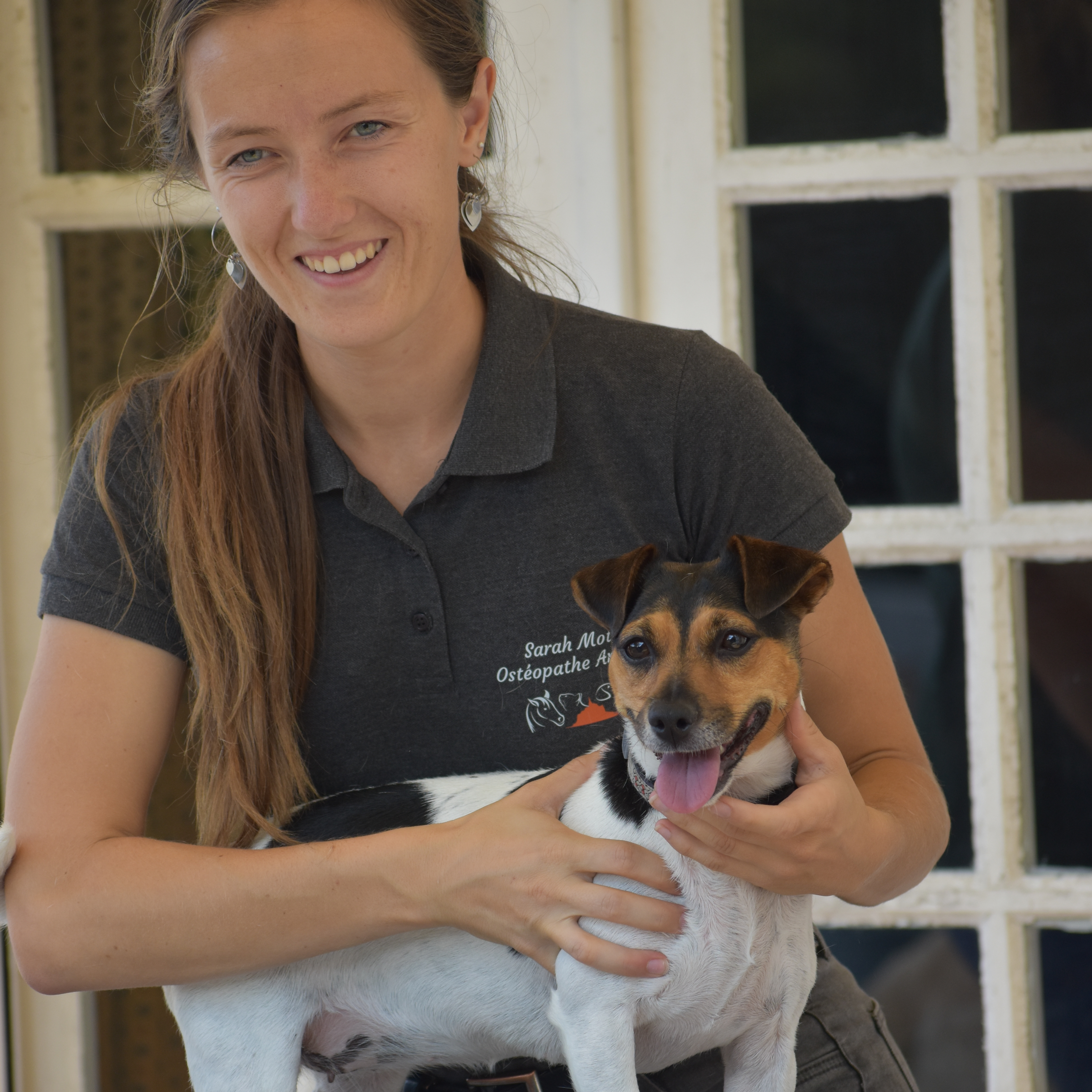 Consultation d'ostéopathie Canine au cabinet de Ducey