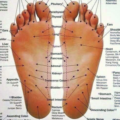 Thai Reflexology & Foot Massage @ Brandon Yoga Center