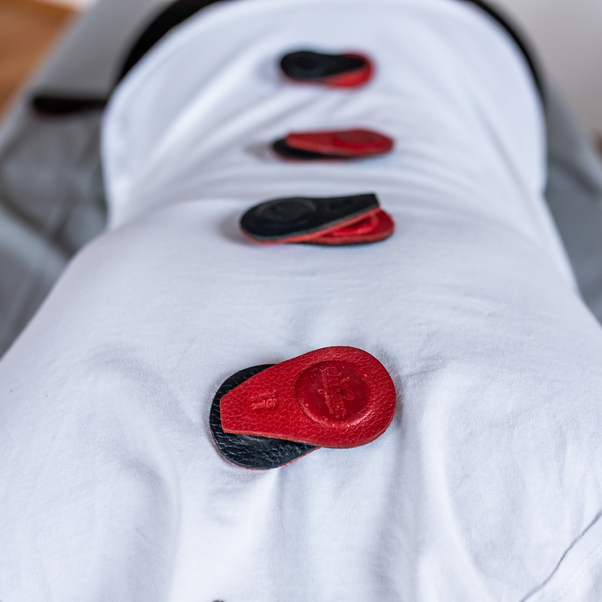 Biomagnetická terapie