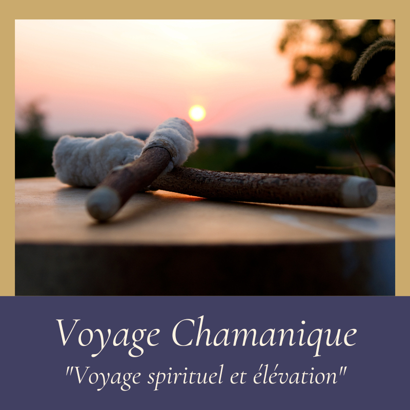 Voyage chamanique