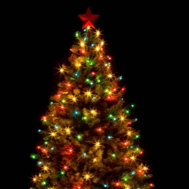 Santa's Naughty List - BDSM lekce 60 min