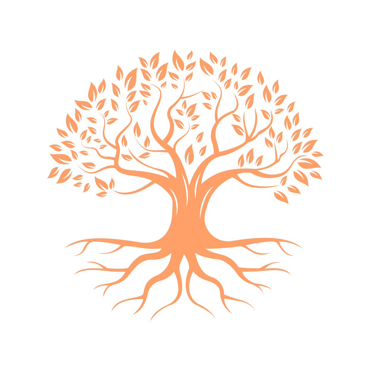 Séance KLAI à distance (visio Team 1h)