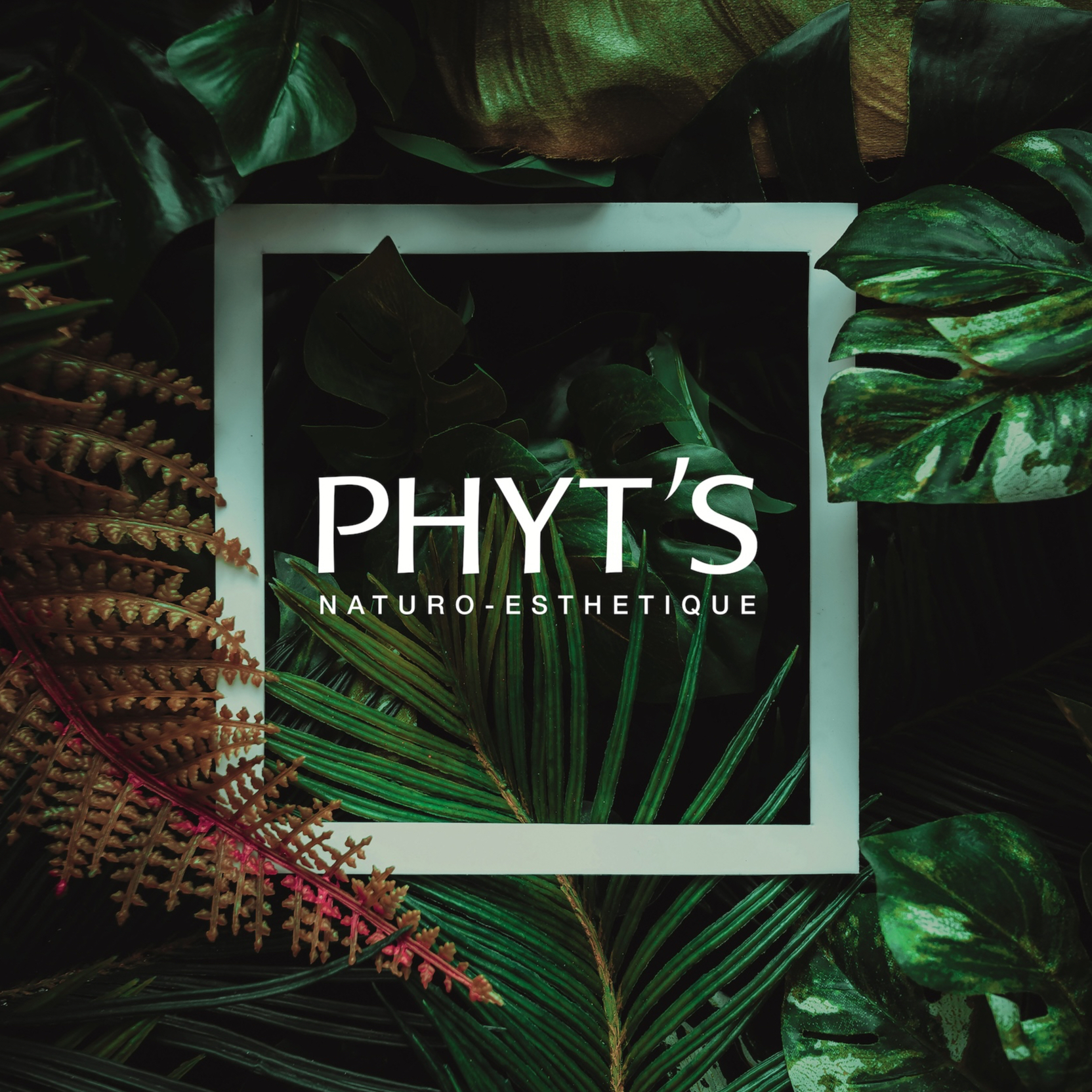 Phyt's Balance (balanc a výživa)