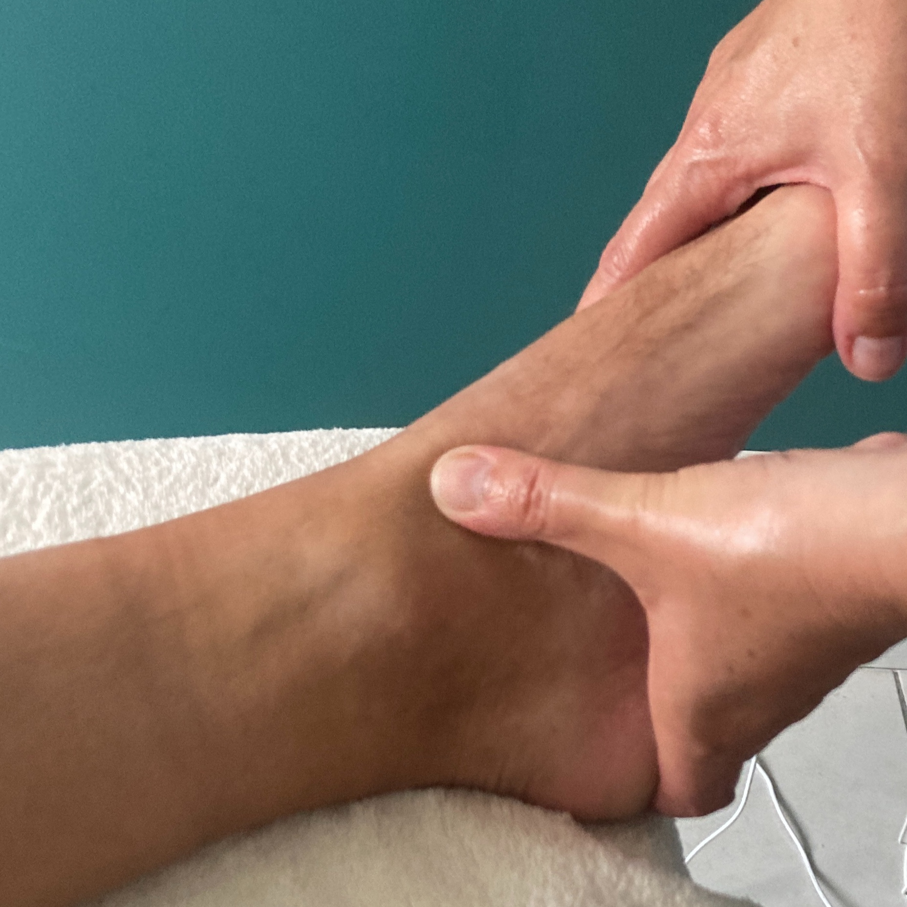 Carte Cadeau - Plantaire