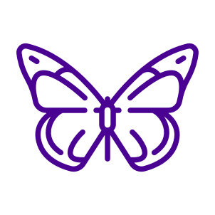 Metamorf Masszázs – 60 perc