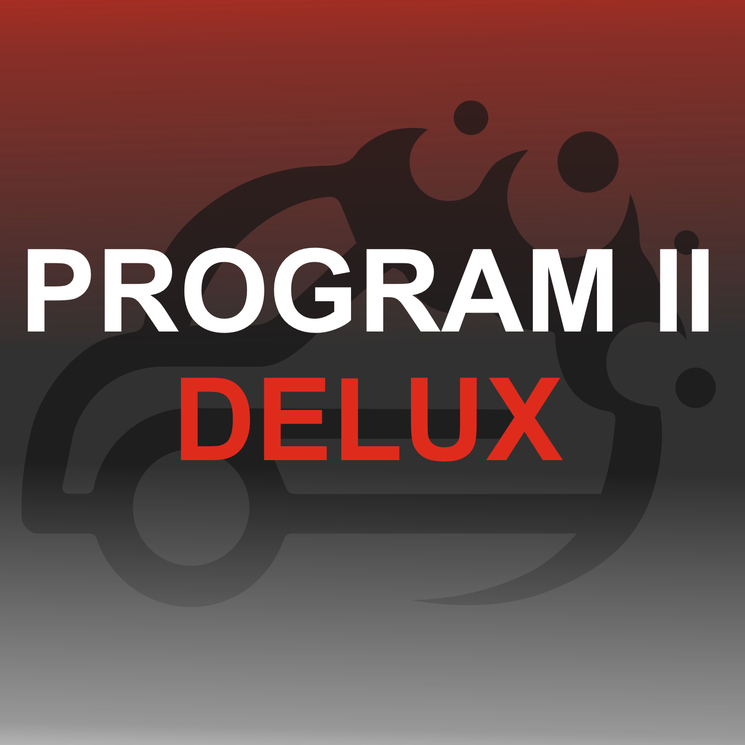 Program č. 2 Kompletní čištění (Mokré čištění/tepování) DELUX -