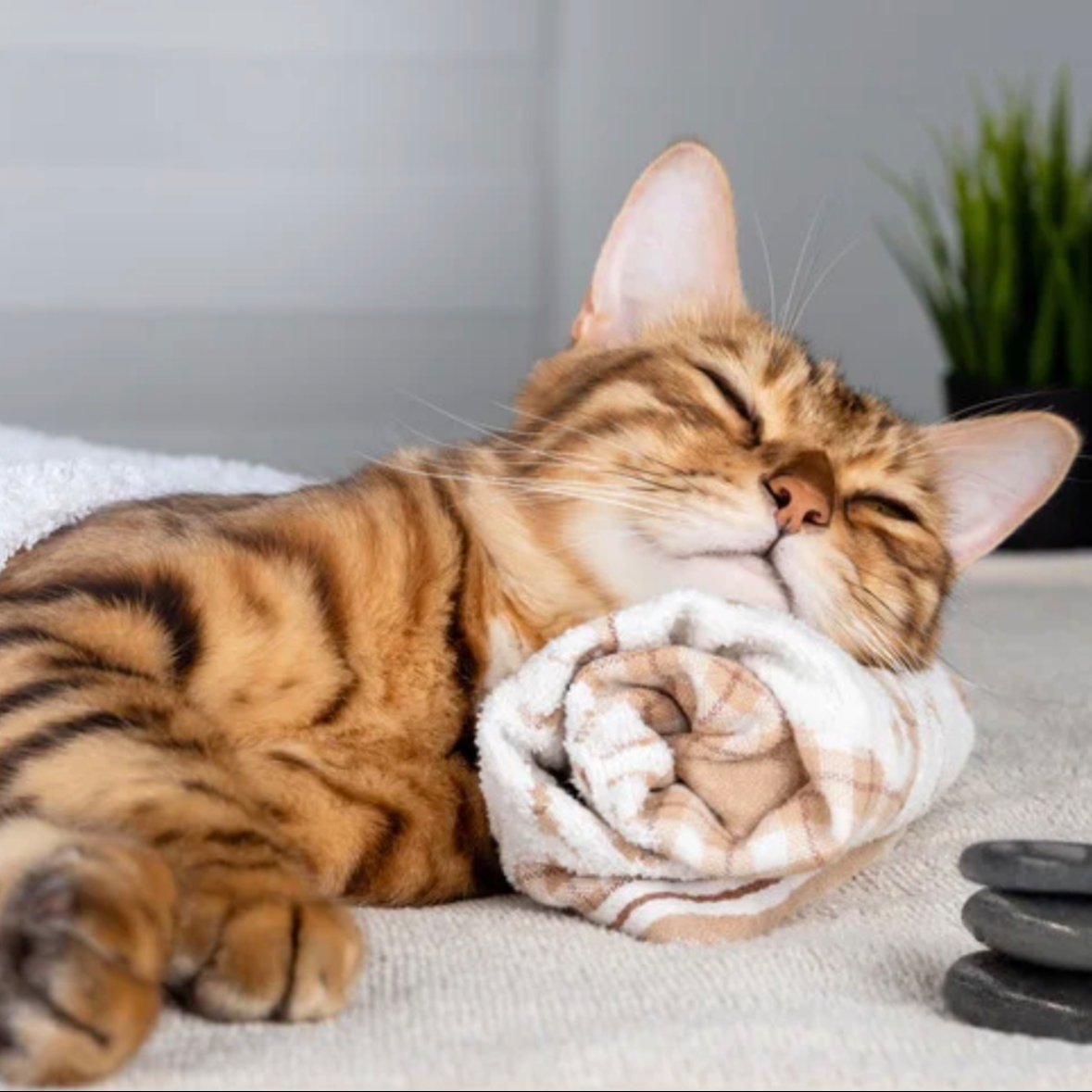 Zkrácená fyzioterapie