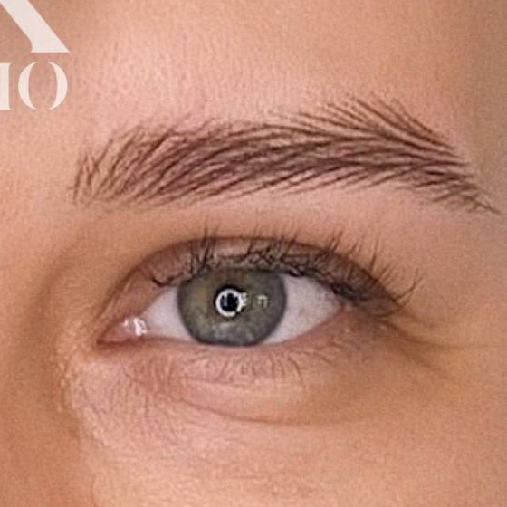 PMU obočí, technika vláskování (Hairstroke)