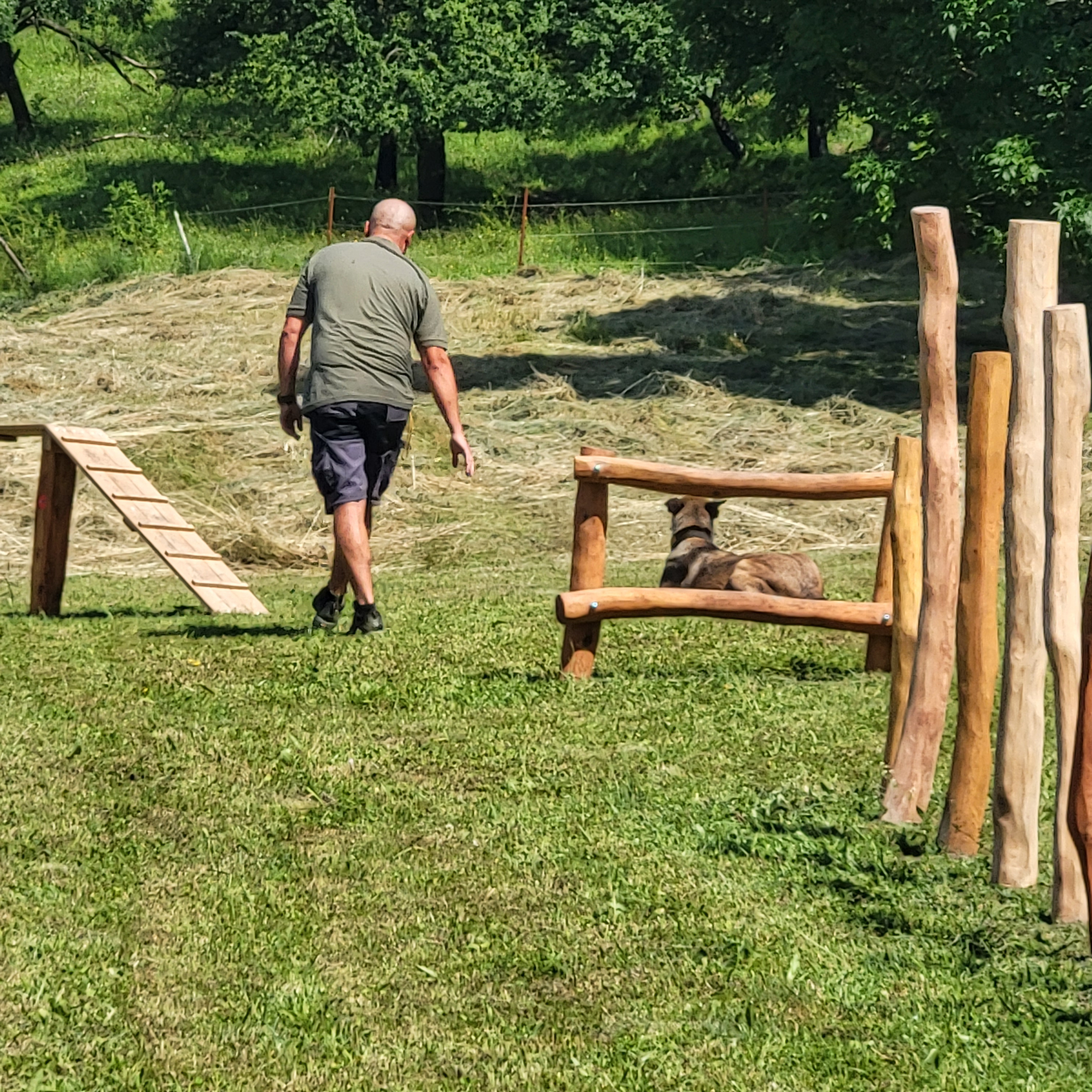 Výcvik s HD Coachem na Psím hřišti Purina | Dvůr Králové