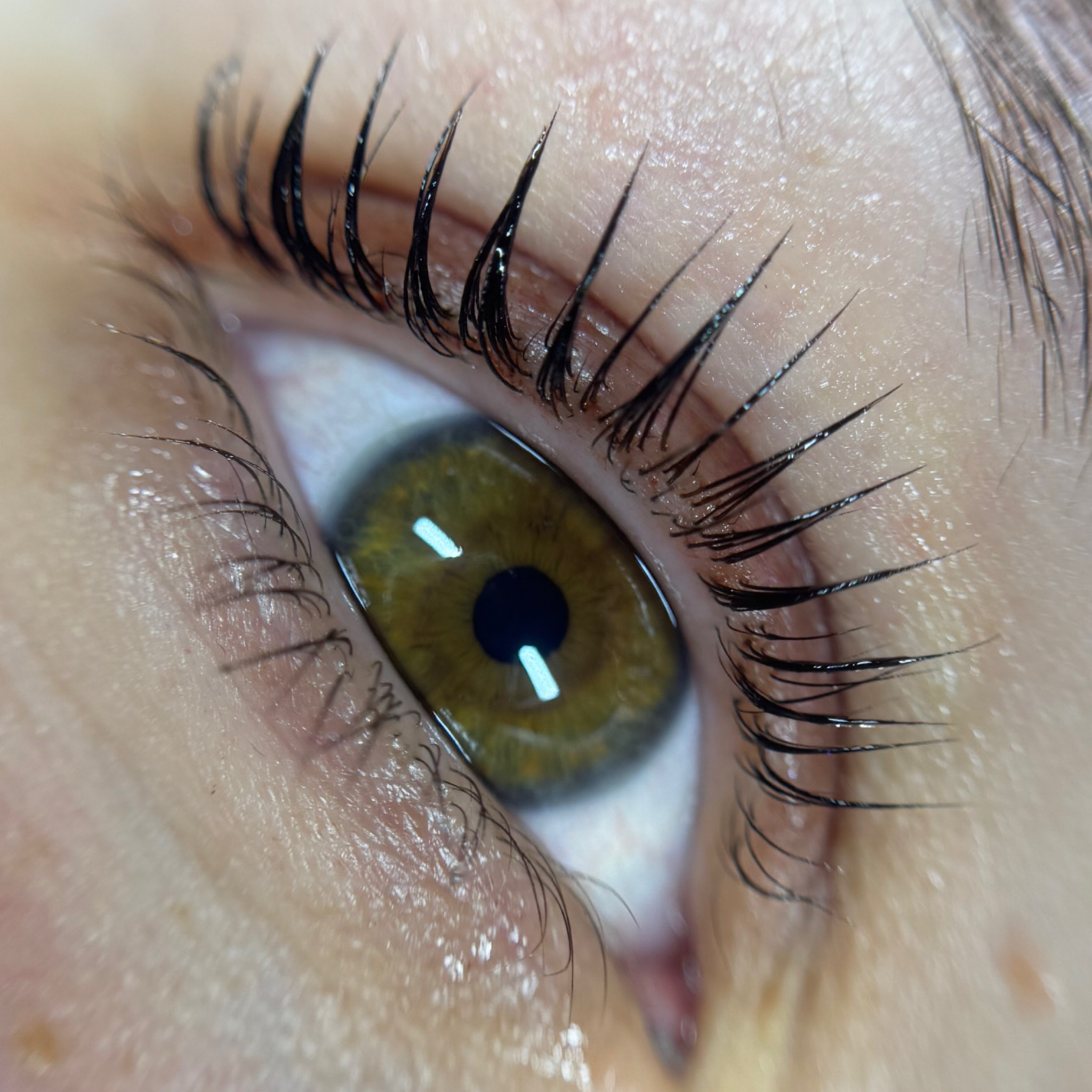 Korean Lash lifting