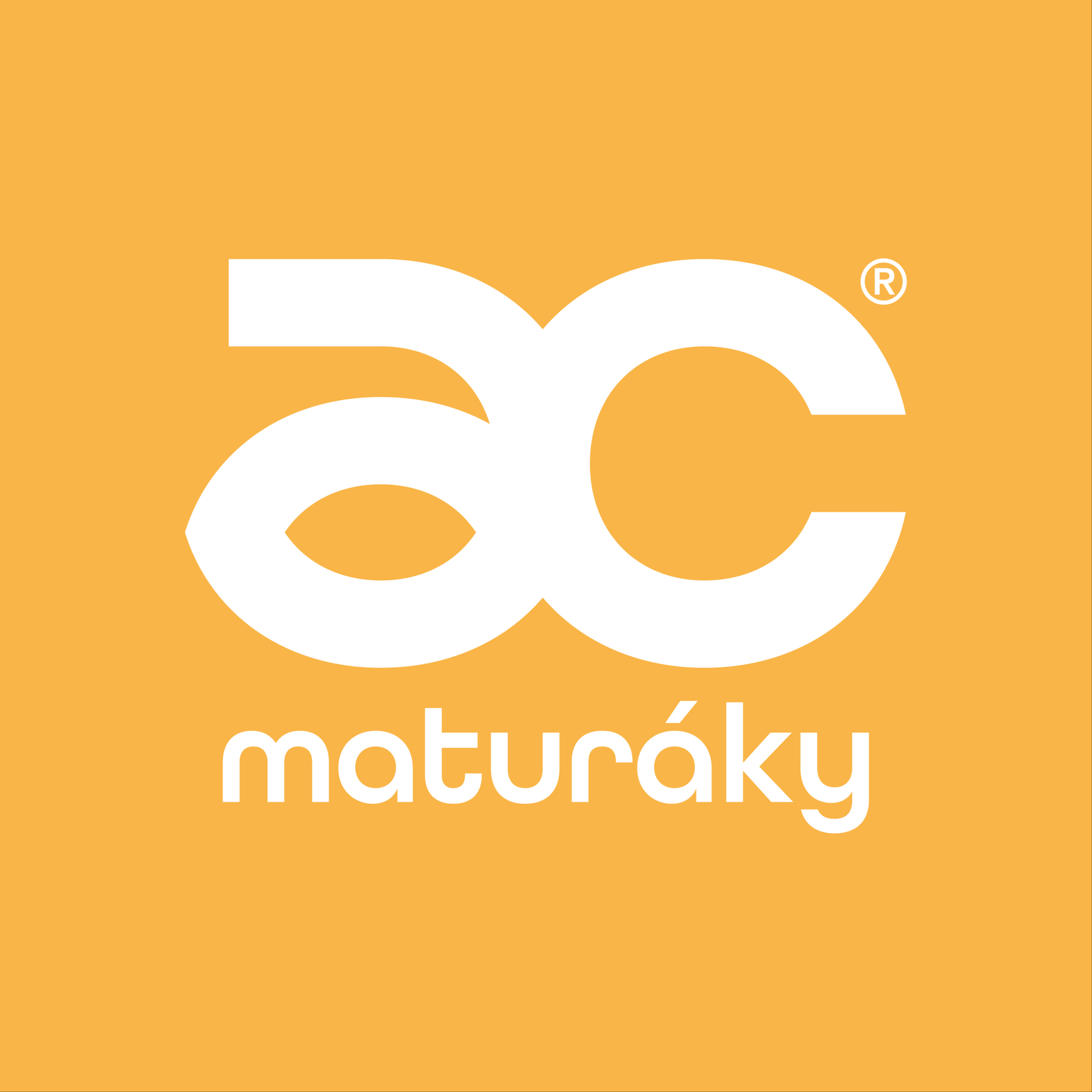 Maturitní ples - Kreativní schůzka