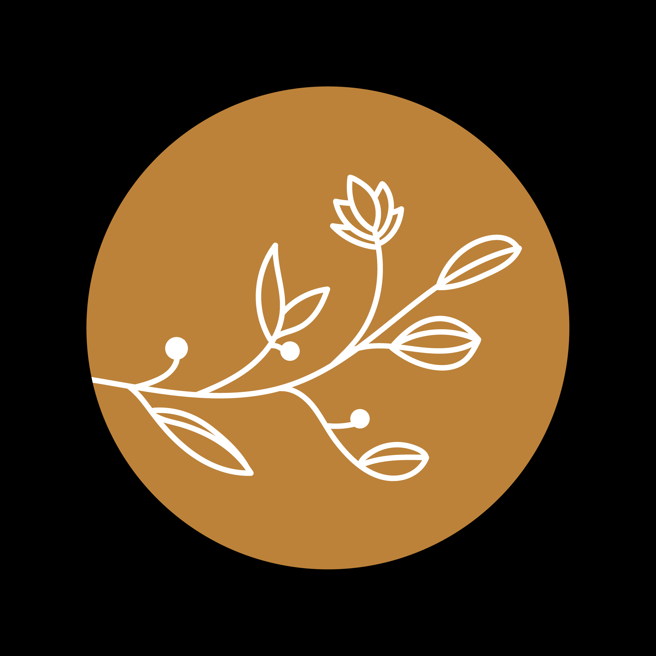 Balíček GOLD 6 +1 terapie a balíček produktů zdarma