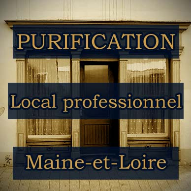 PURIFICATION - Local professionnel (Maine-et-Loire)