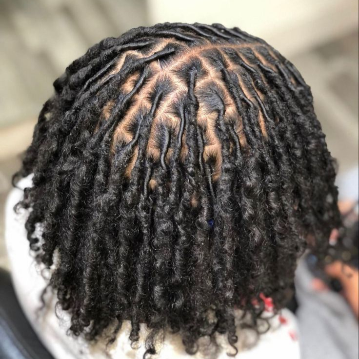 Départ locks en twist tete entiere