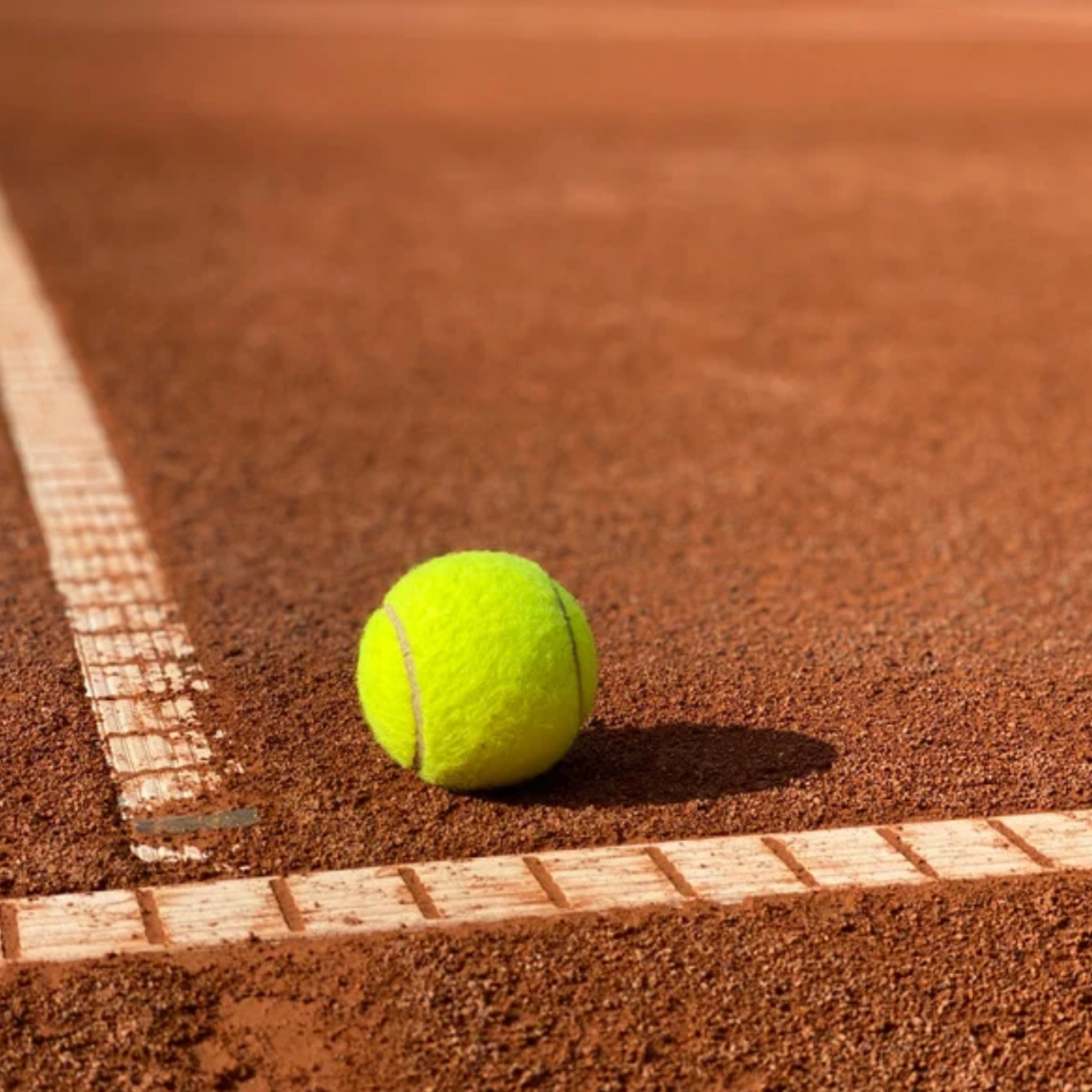 TENNIS - MINDSET EXPERIENCE - MATCH POINT MIND