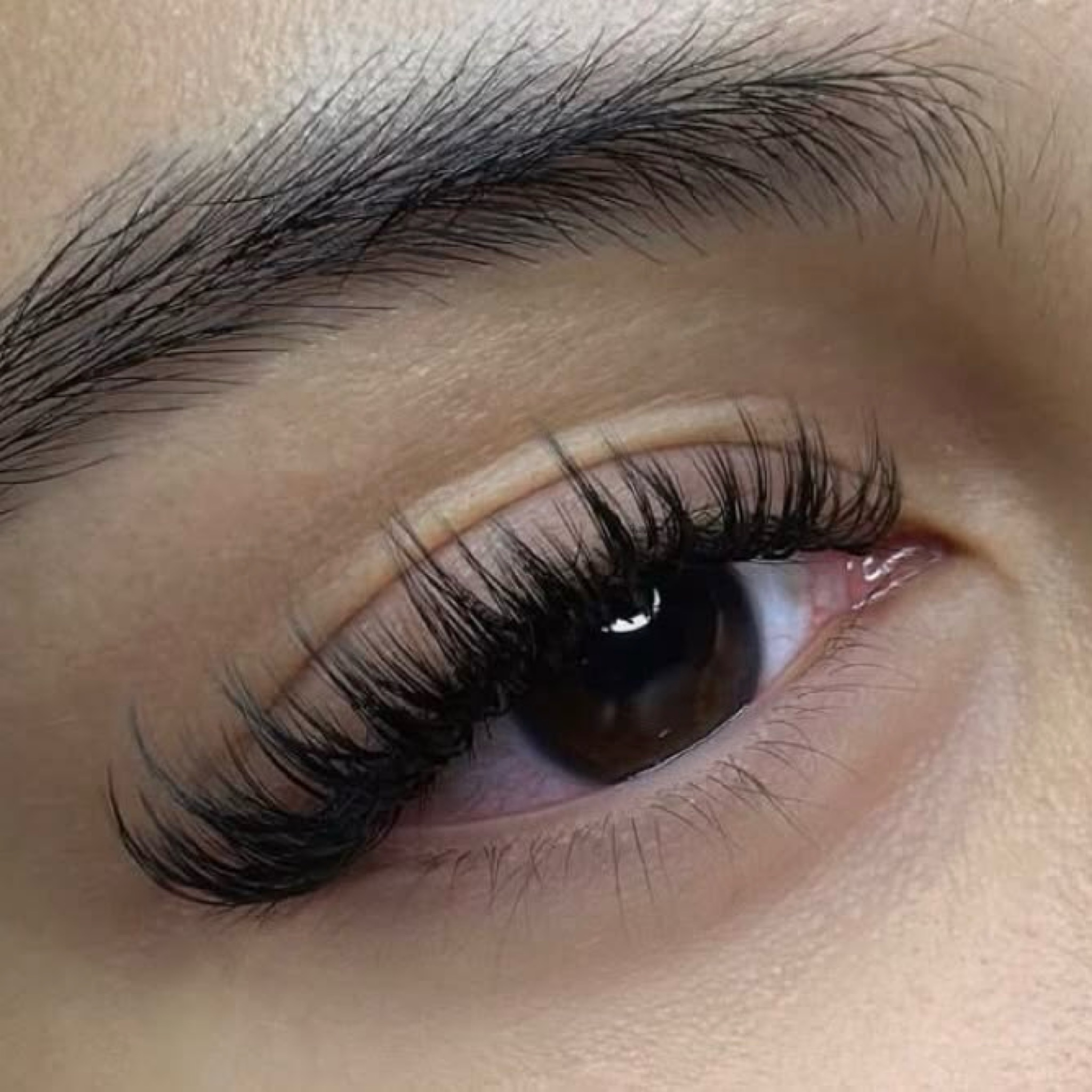 Pose WISPY 70€